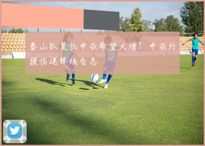 泰山队复仇申花希望大增！申花外援伤退锋线告急