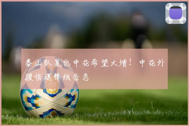 泰山队复仇申花希望大增！申花外援伤退锋线告急